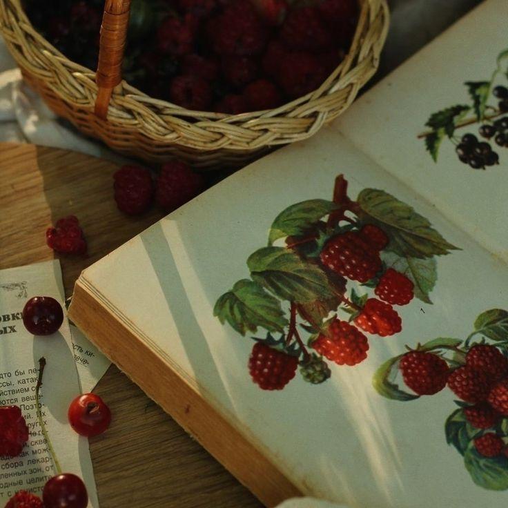 Field-Fresh Splendor: Ripe Berry Assortment